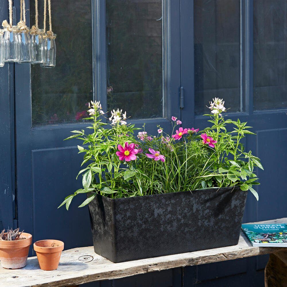 Poétic Blumenkasten Element Graphit 60 cm