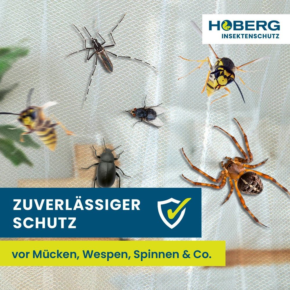 Hoberg Moskitonetz Insekten-Baldachin 60x1200x250cm weiß, Fliegengitter Mücken Schutz Einzel- und Doppelbetten