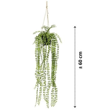 Kunstrasen Kunstpflanze Ficus Pumila Hängend mit Topf 60 cm, Emerald, Höhe: 60 mm