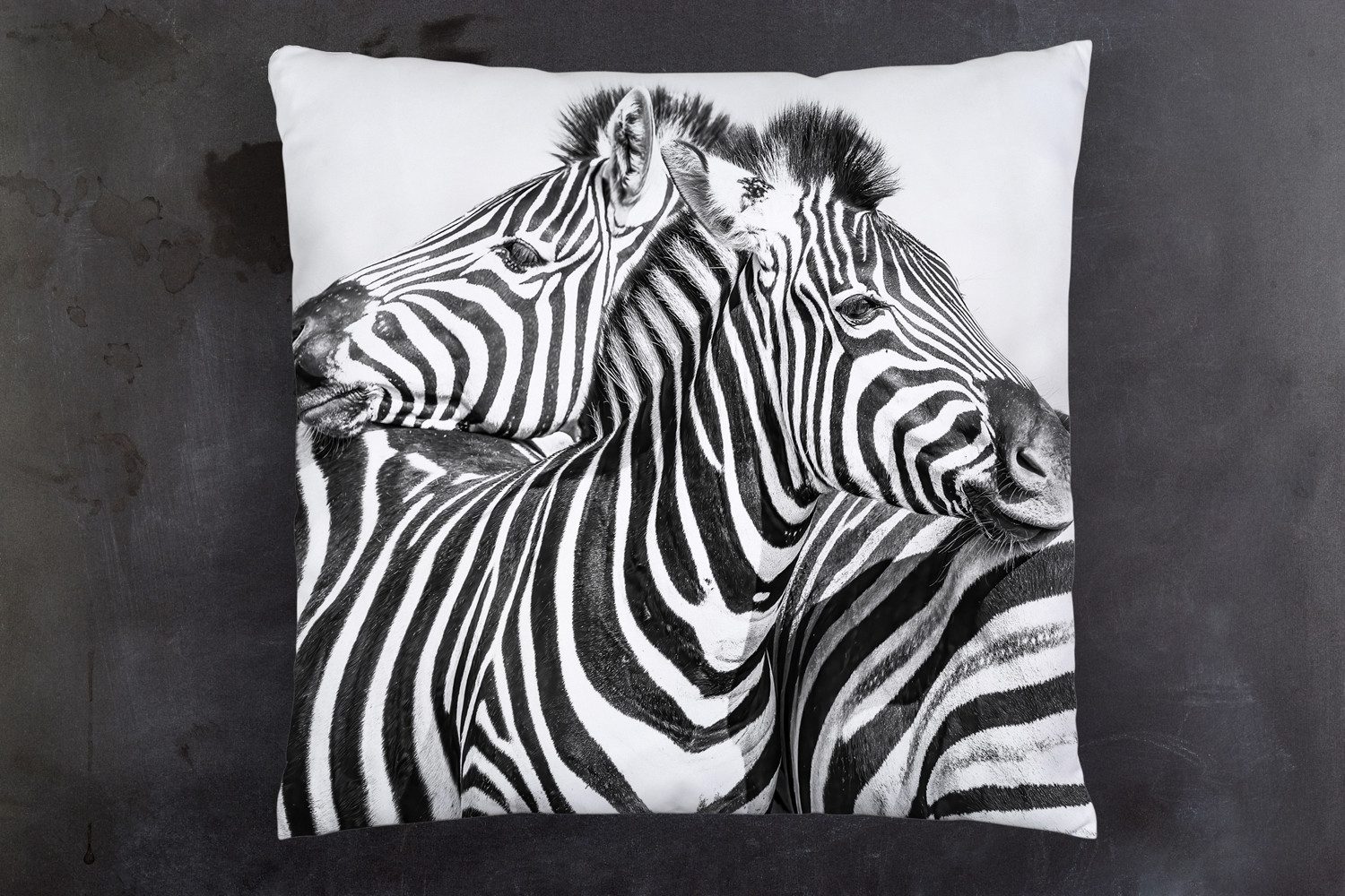 queence Dekokissen Zebras, Kissenhülle mit HD Premium Druck, geruchsneutral, 40x40cm