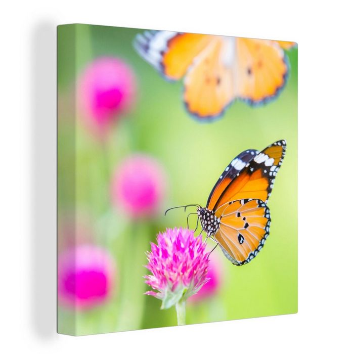 OneMillionCanvasses® Leinwandbild Insekten - Schmetterlinge - Blumen (1 St) Leinwand Bilder für Wohnzimmer Schlafzimmer