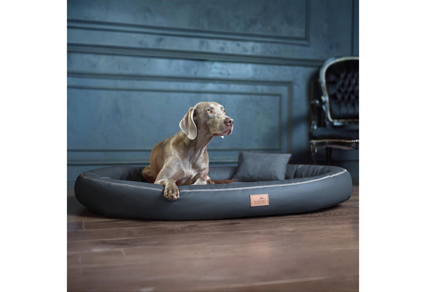 Thumbnail - tierlando® Tierbett Orthopädisches Hundebett GILBERT VIP aus Velours und Kunstlede, Latexkern, Wasserabweisend, Pflegele...