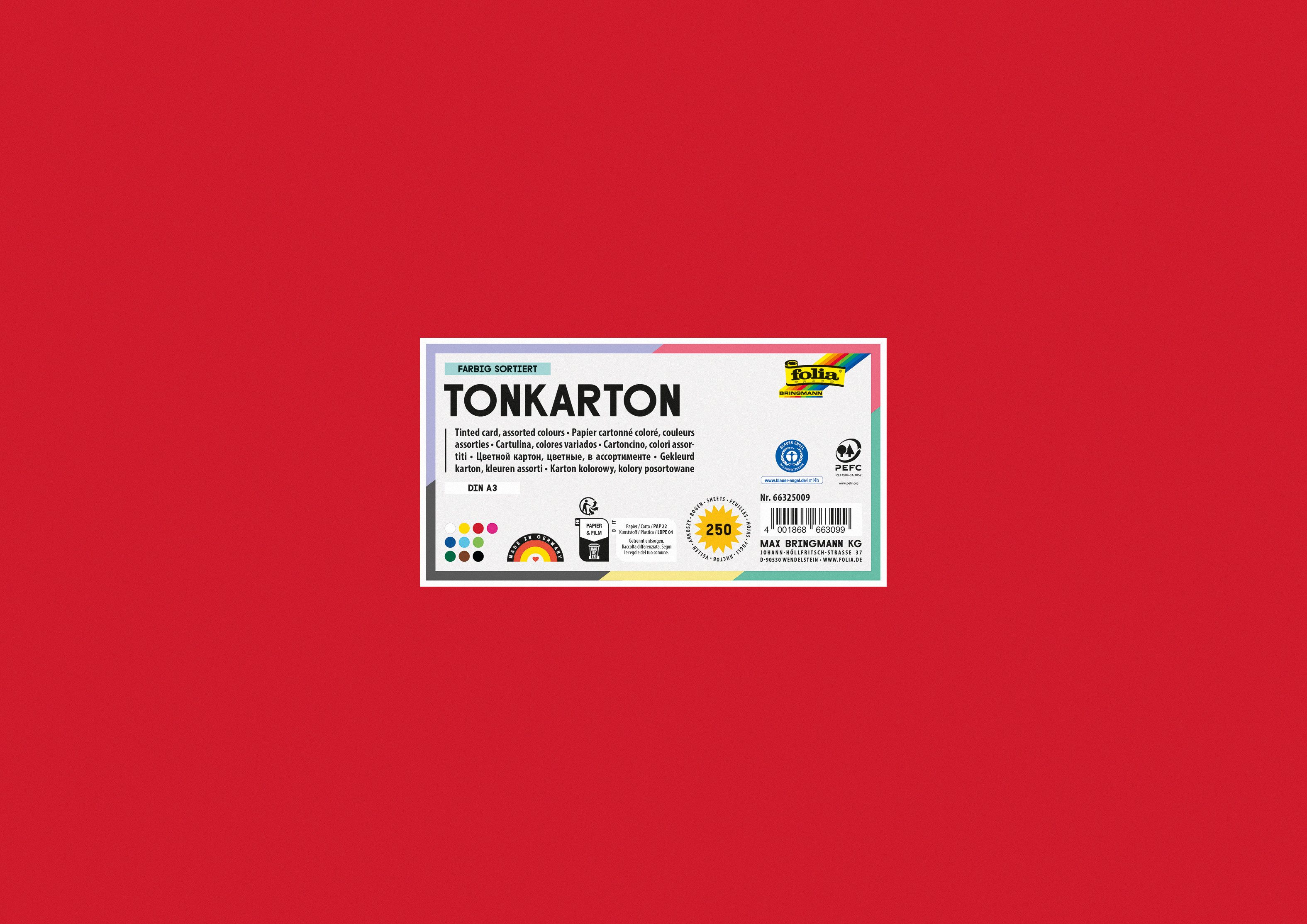 Folia Bastelkartonpapier Tonkarton, 160 g/m², DIN A3, 250 Bogen, 10 Farben
