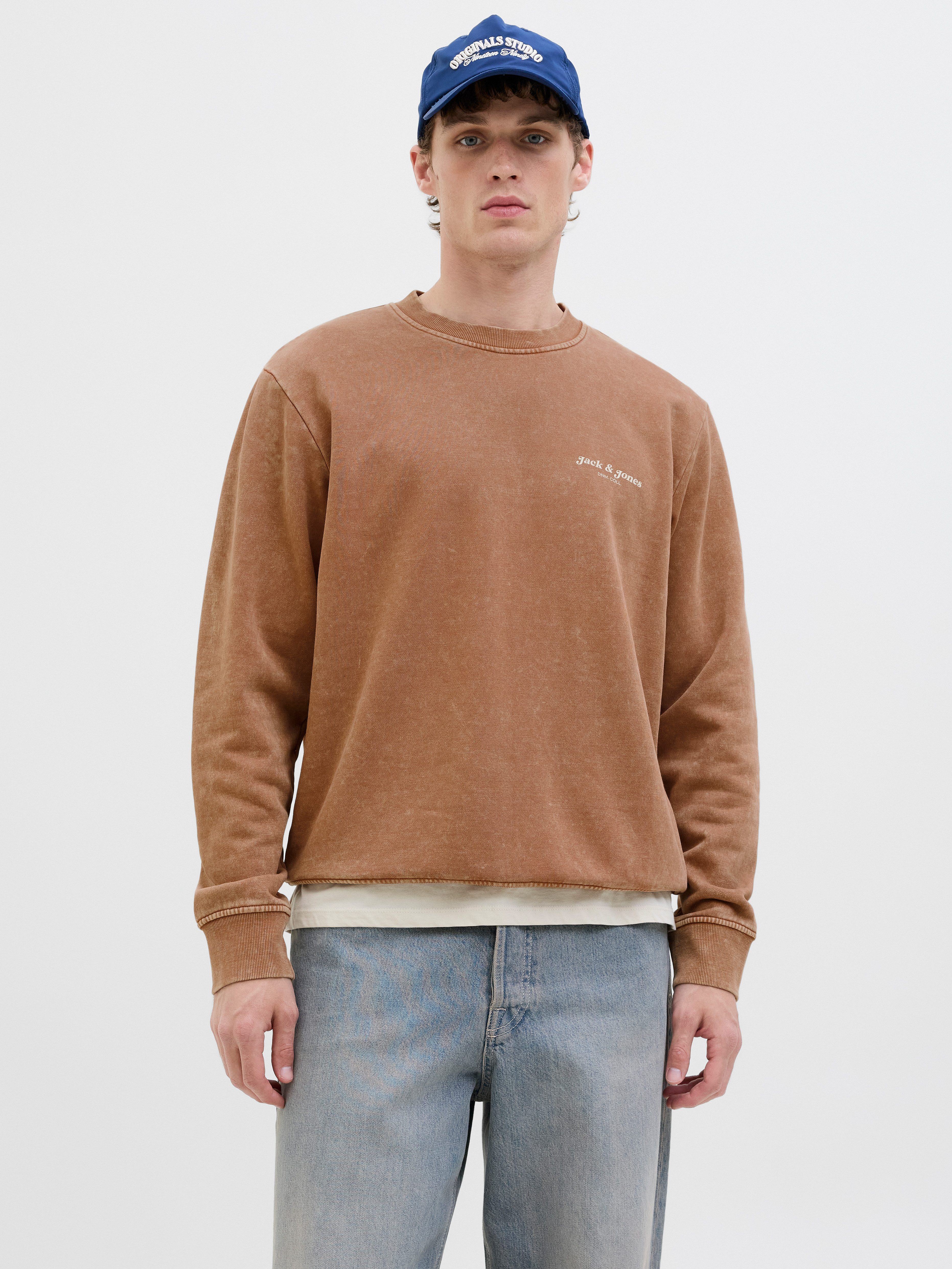 Jack & Jones Sweatshirt JJEDOVER PRINT günstig online kaufen