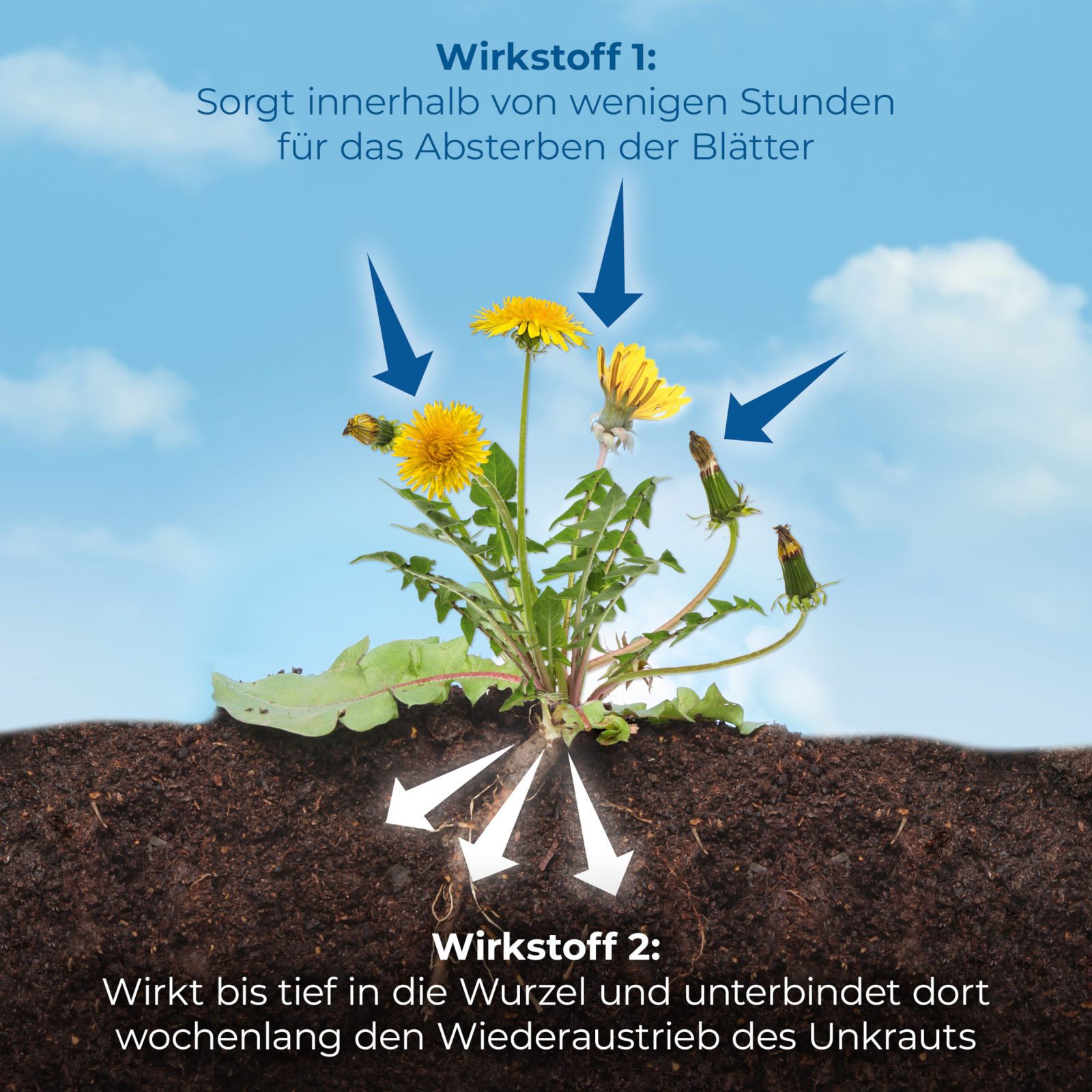 Protect Garden Unkrautbekämpfungsmittel Permaclean Duo Unkraut & Wurzel ...