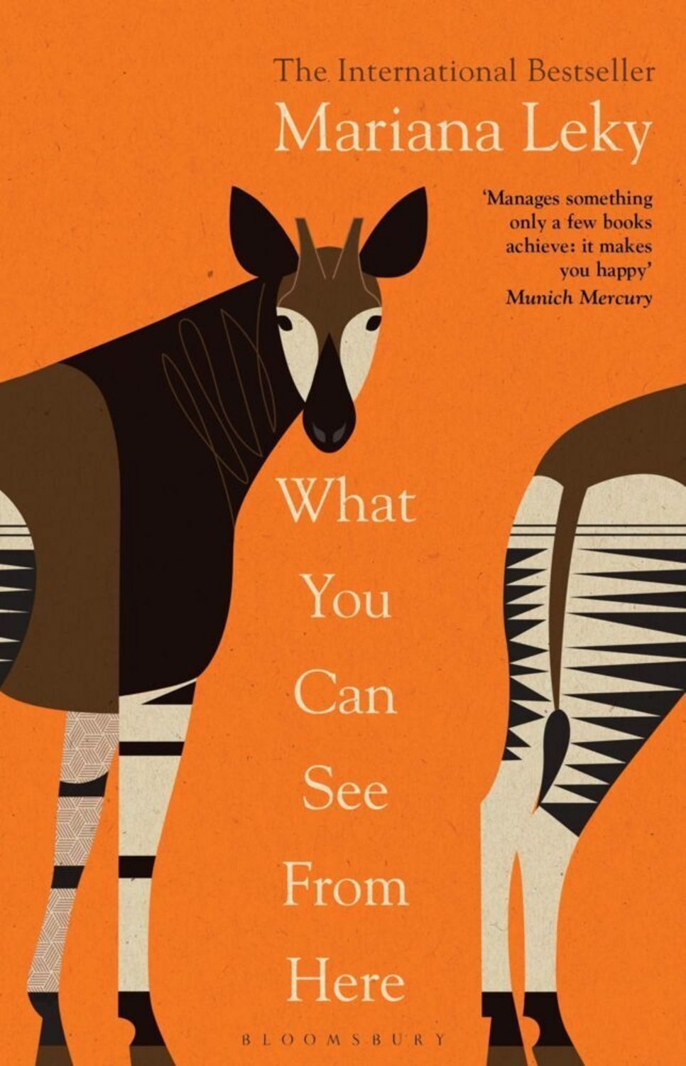 What You Can See From Here / Mariana Leky