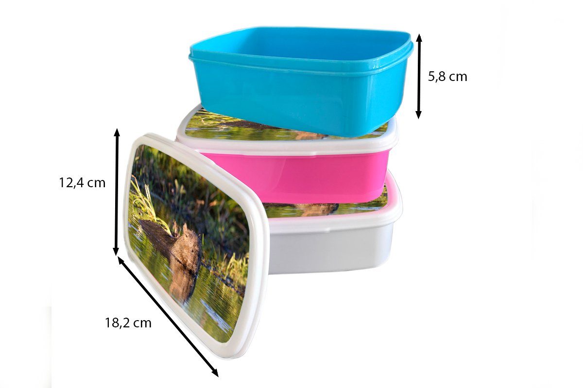Kunststoff, Kinder, Lunchbox Kunststoff rosa Capybara Mädchen, MuchoWow Brotbox Snackbox, Brotdose Erwachsene, (2-tlg), für im Wasser,