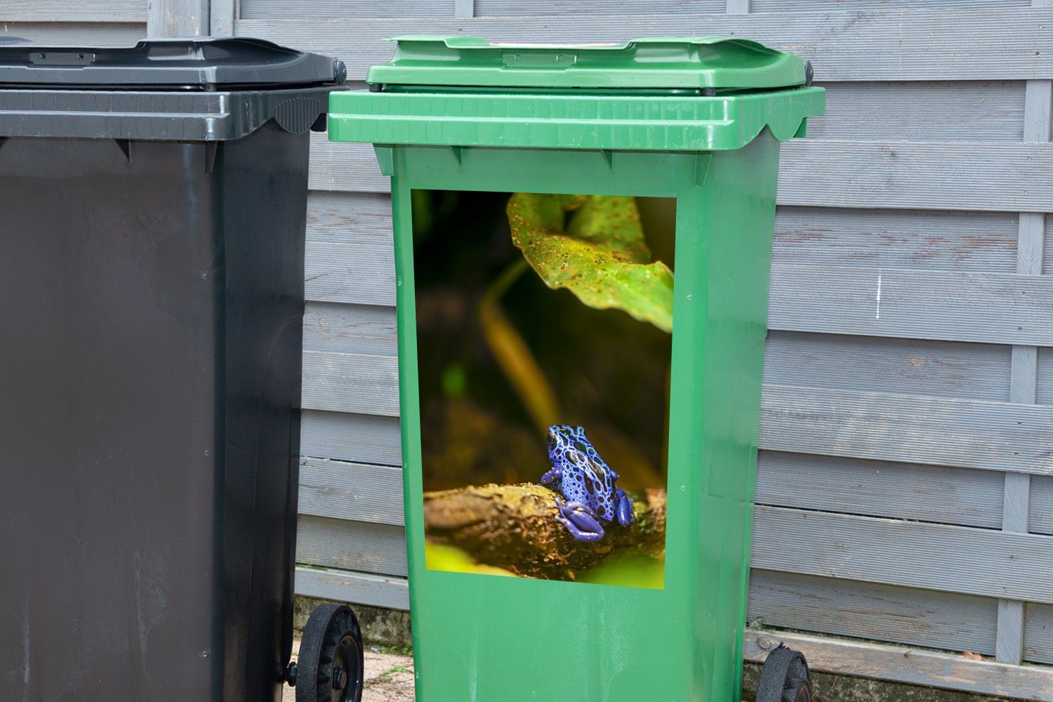 MuchoWow Wandsticker Frosch (1 Blau St), Container, Mülleimer-aufkleber, Dschungel Abfalbehälter - - Sticker, Mülltonne