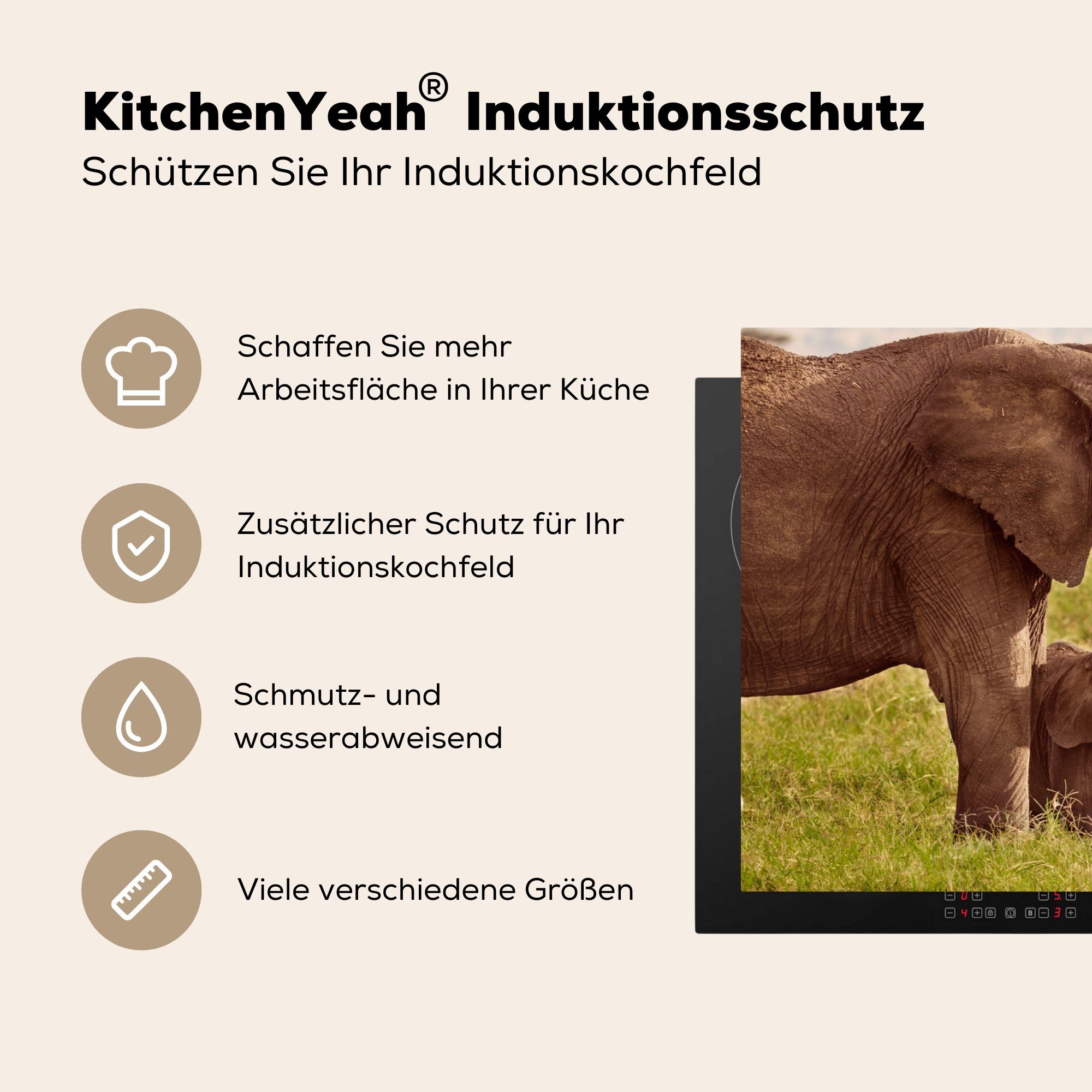 Jung (1 Elefant für Rüssel, - Induktionskochfeld Gras tlg), cm, Herdblende-/Abdeckplatte - 81x52 küche, MuchoWow die - Ceranfeldabdeckung Schutz Vinyl,