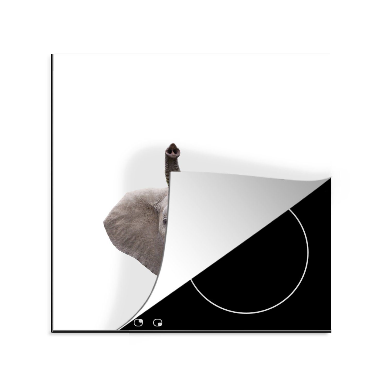 MuchoWow Herdblende-/Abdeckplatte Tiere - Elefant - Weiß - Wildtiere - Kinder, Vinyl, (1 tlg), 78x78 cm, Ceranfeldabdeckung, Arbeitsplatte für küche | Herdabdeckplatten