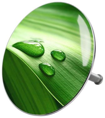 Sanilo Badaccessoire-Set Green Leaf, Komplett-Set, 6 tlg., bestehend aus WC-Sitz, Badteppich, Stöpsel, Seifenspender, WC-Bürste