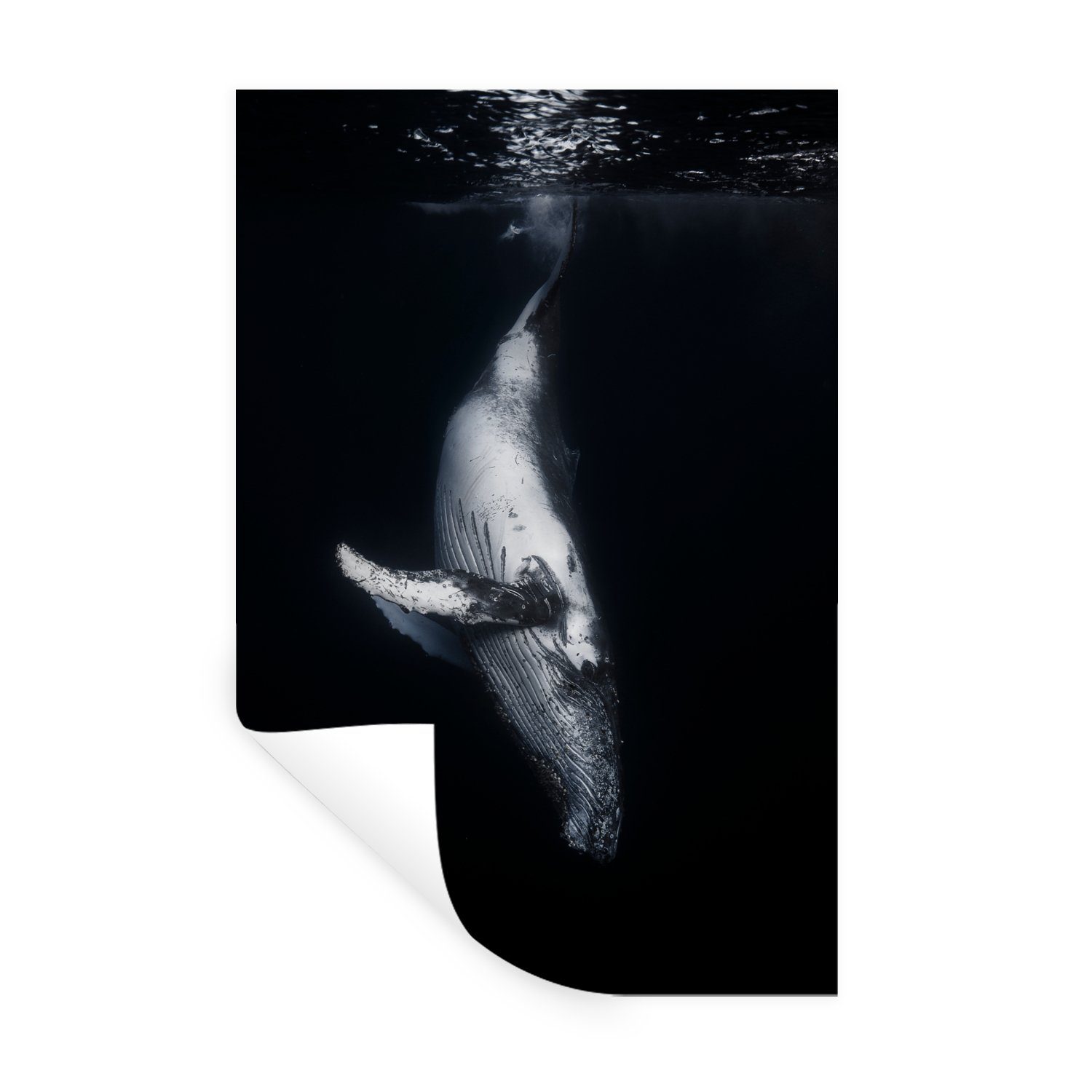 MuchoWow Wandsticker Wale - Meerestiere - Meer - Natur (1 St), Wandaufkleber, Wandtattoo, Selbstklebend, Wohnzimmer, Schlafzimmer