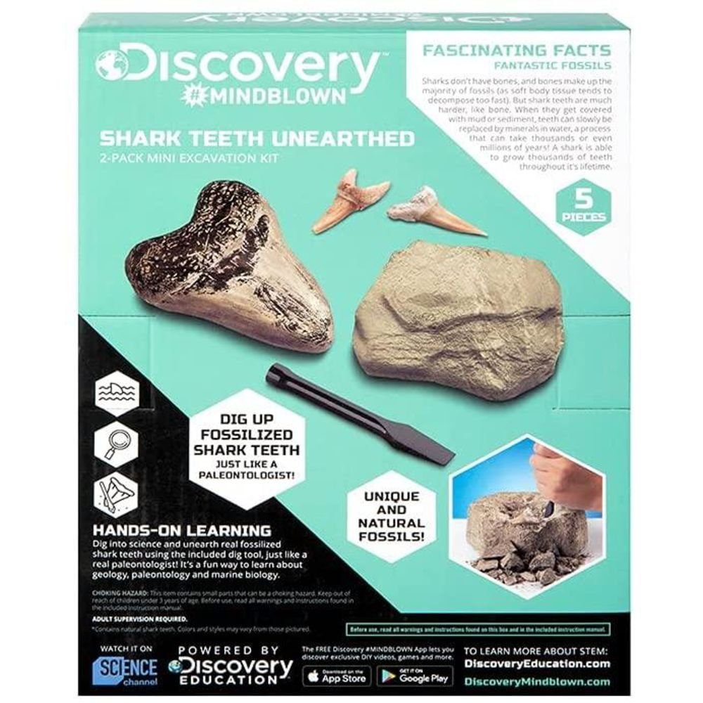 Lernspielzeug Adventures Meißel Discovery Fossilien Zähne, Hai Ausgrabungsset mit Forschungsset Kids Discovery Mini