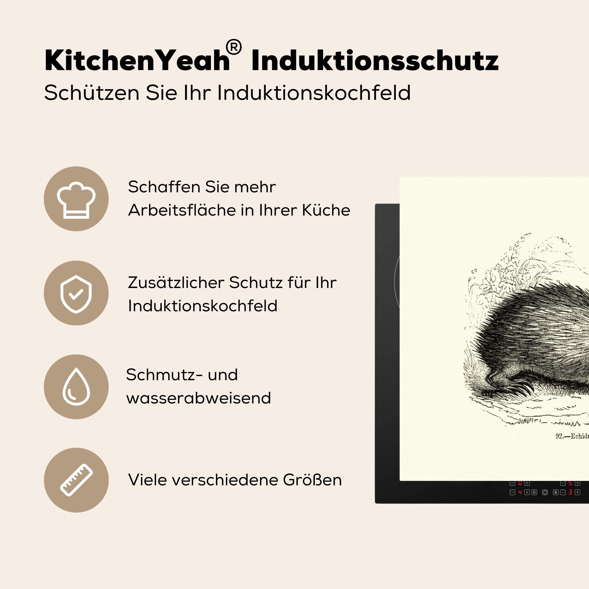 MuchoWow Illustration (1 Ameisenigels Vinyl, Ceranfeldabdeckung nutzbar, weißem tlg), eines Herdblende-/Abdeckplatte Hintergrund, cm, Arbeitsfläche 60x52 Mobile auf