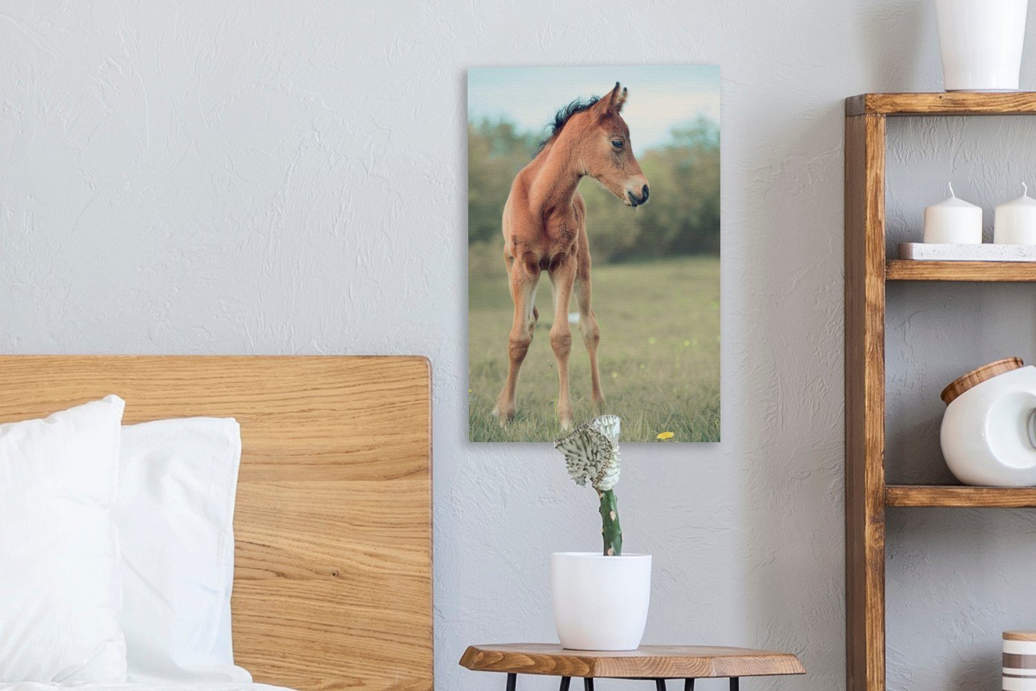 bespannt - Fohlen - (1 20x30 Pferd inkl. cm OneMillionCanvasses® St), Leinwandbild Zackenaufhänger, fertig Gemälde, Gras, Leinwandbild