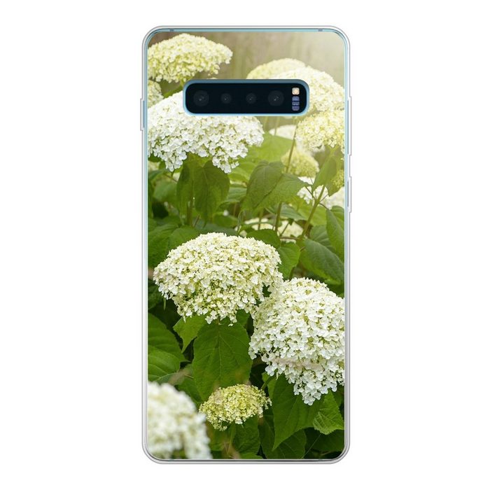 MuchoWow Handyhülle Ein Meer von weißen Hortensien Phone Case Handyhülle Samsung Galaxy S10 Lite Silikon Schutzhülle