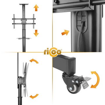 RICOO FS0364 TV-Ständer, (bis 75 Zoll, TV Standfuß mit Rollen Fernseher Stativ rollbar höhenverstellbar)