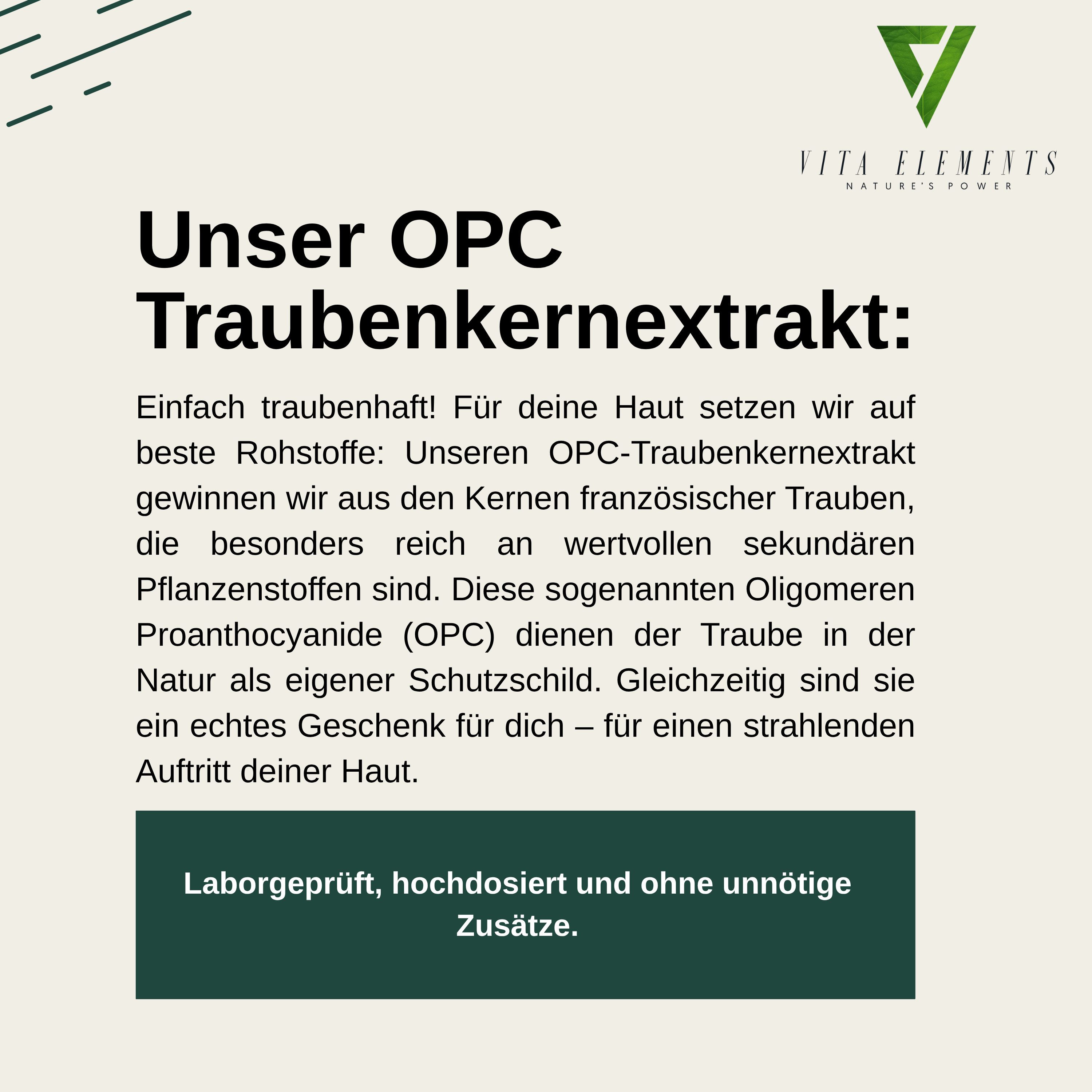 Vita Elements OPC Traubenkernextrakt Kapseln, 240 St., Vegan Frei von Gentechnik Ohne unnötige Zusätze Laborgeprüft