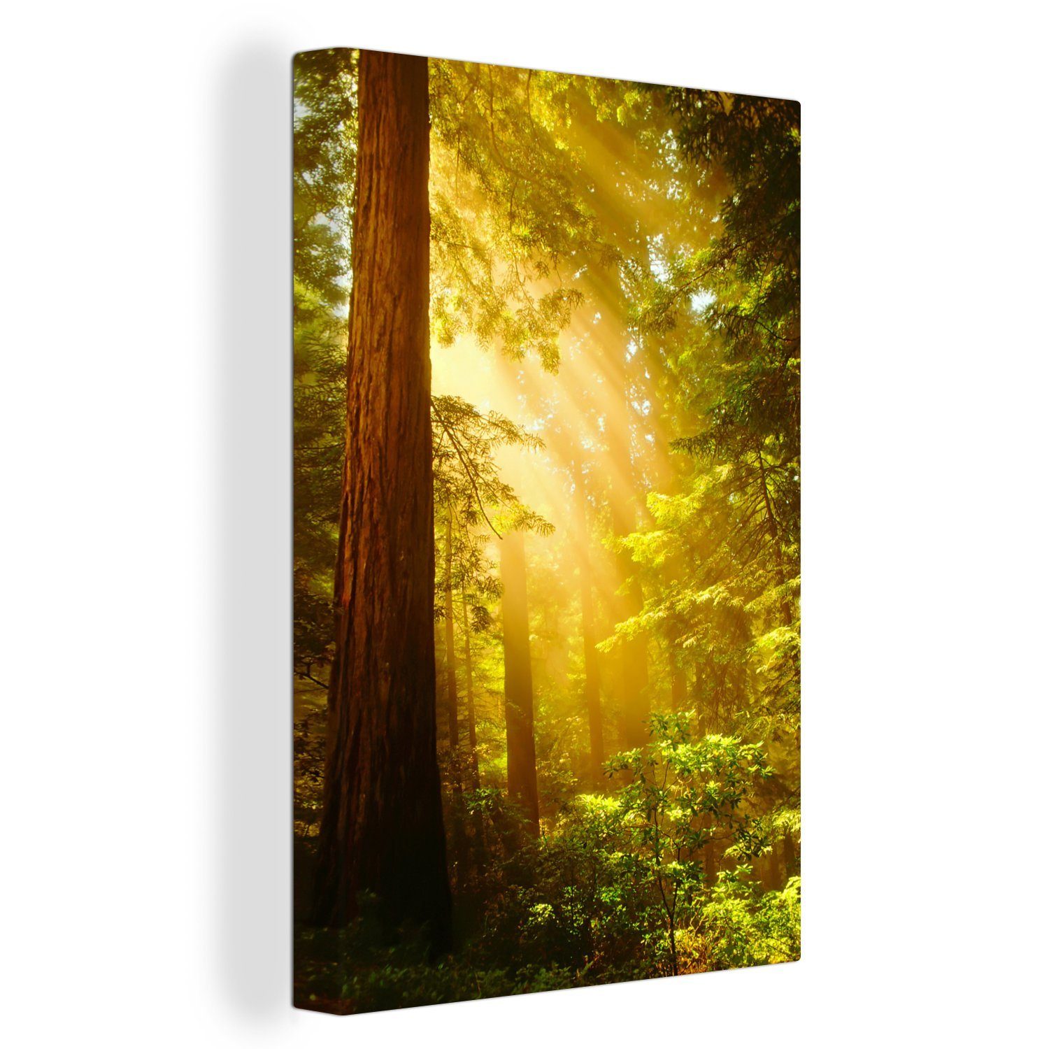OneMillionCanvasses® Leinwandbild Darstellung eines Redwood-Baums mit Sonnenstrahlen, (1 St), Leinwandbild fertig bespannt inkl. Zackenaufhänger, Gemälde, 20x30 cm