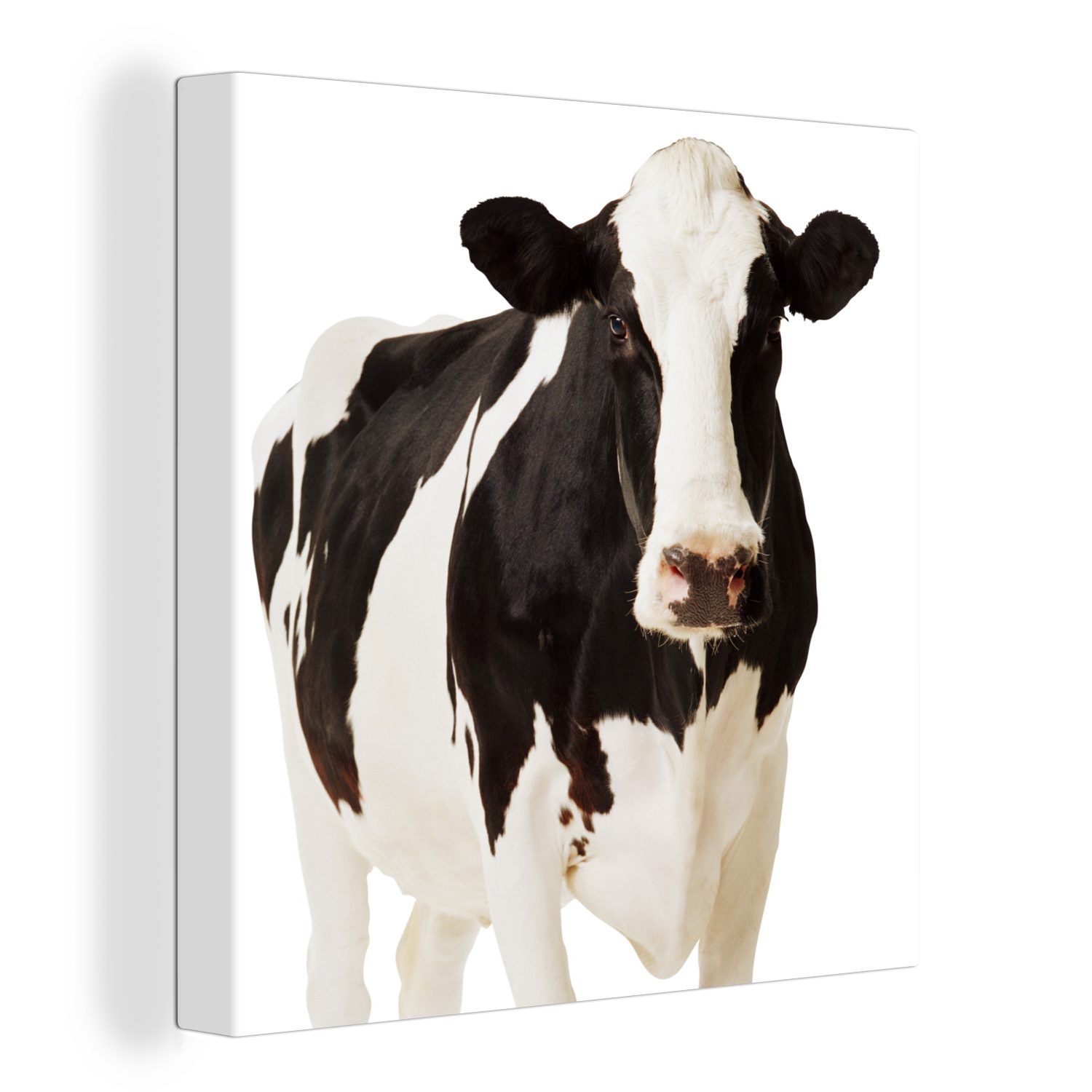 OneMillionCanvasses® Leinwandbild Kuh - Weiß - Schwarz - Tiere, (1 St), Leinwand Bilder für Wohnzimmer Schlafzimmer