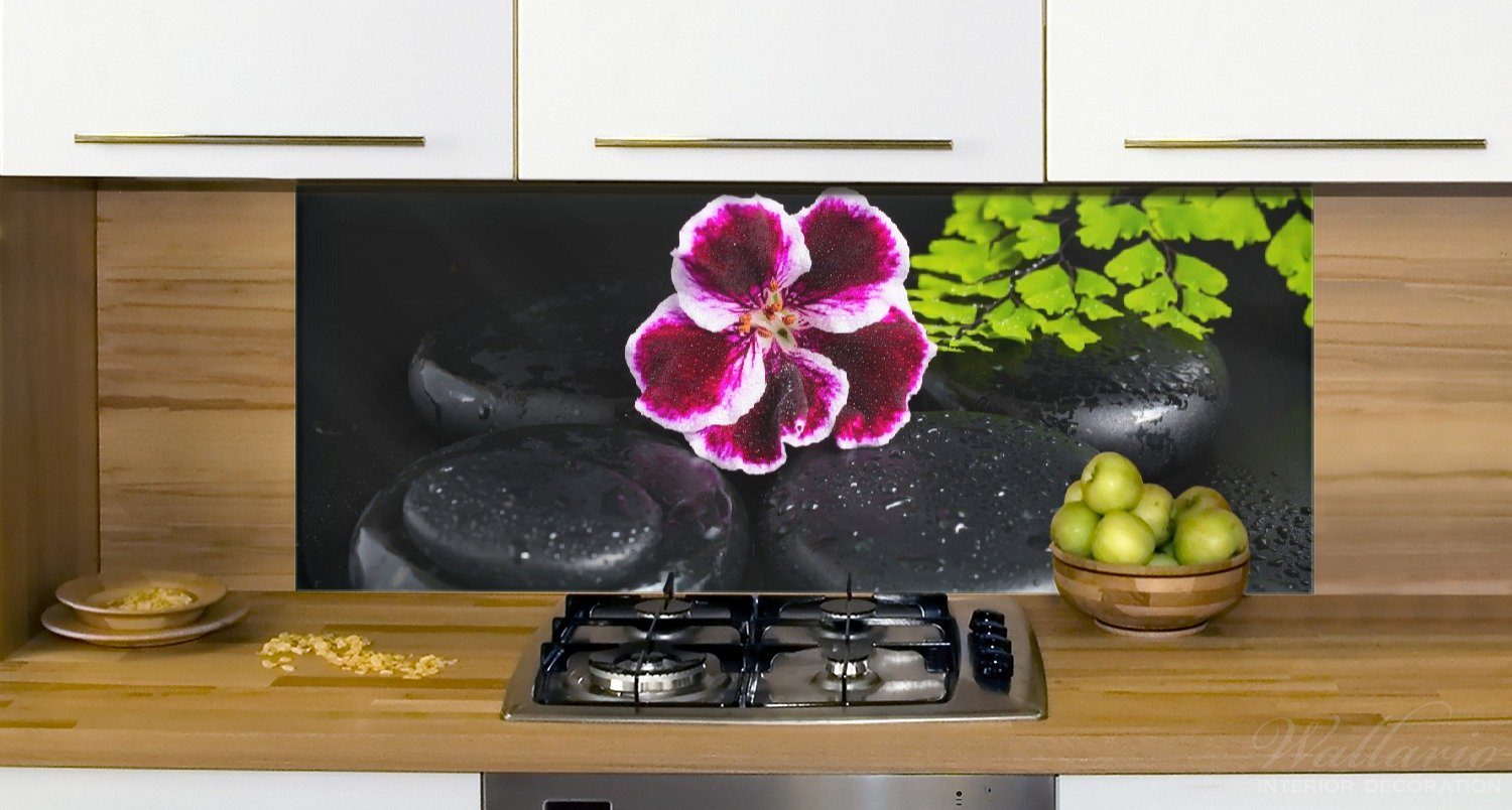 auf (1-tlg) schwarzen benetzt Wassertropfen, Wallario Steinen, mit Küchenrückwand Geranienblüte