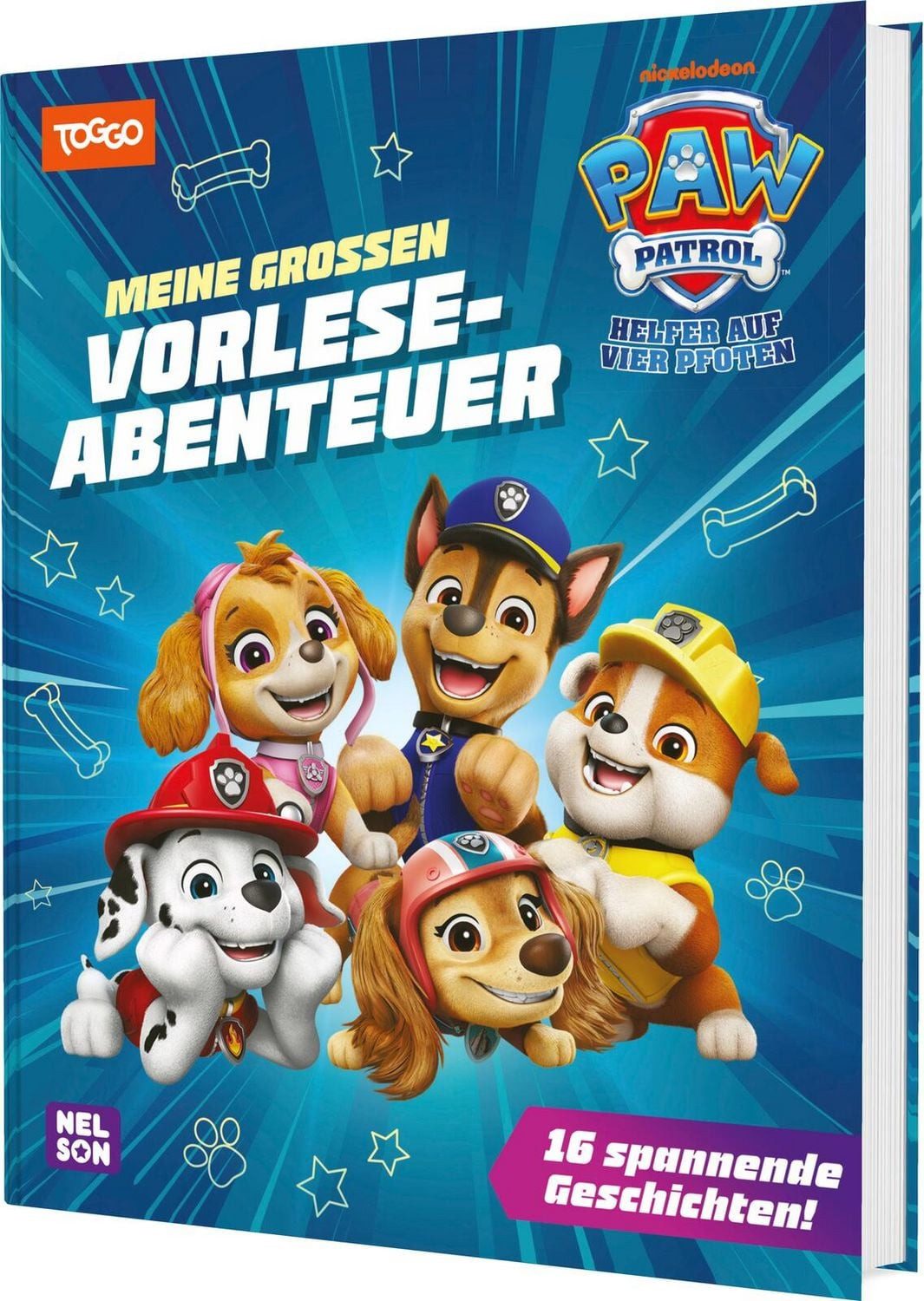 PAW Patrol Geschichtenbuch: Meine großen Vorleseabenteuer / diverse