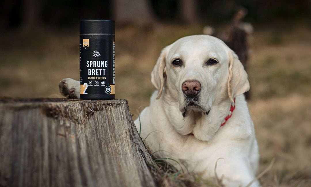 Tales & Tails Sprungbrett - Funktionaler Hundesnack, Snack für: Hunde