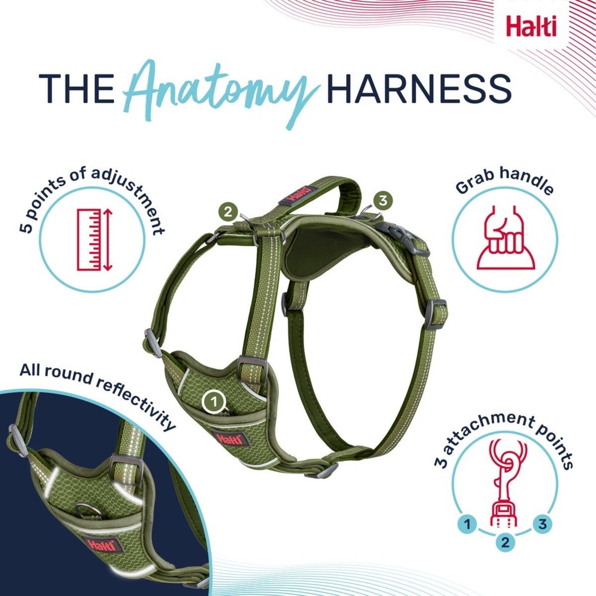 Company of Animals Hunde-Geschirr Hundegeschirr Anatomy Harness Green