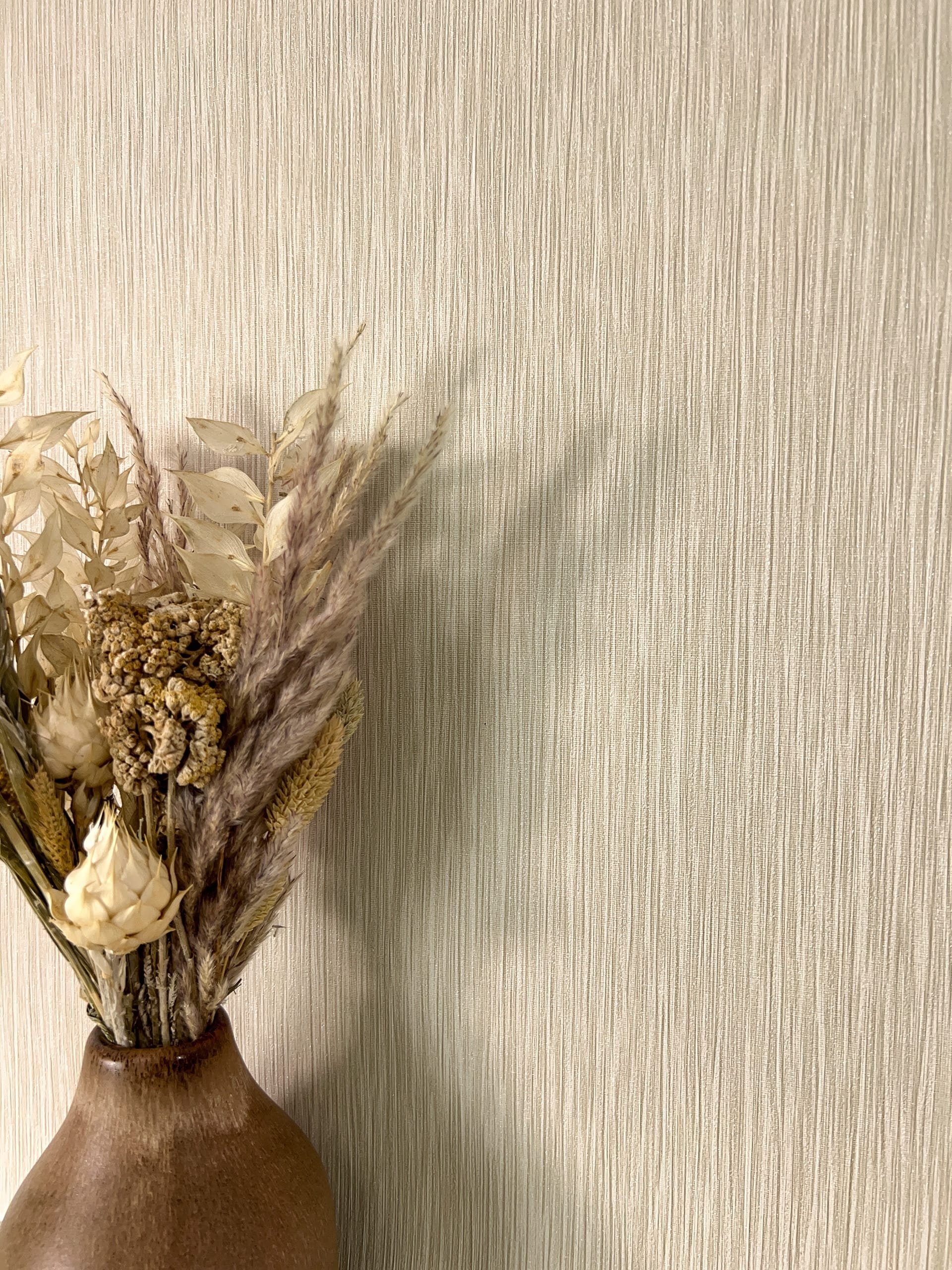 Newroom Vliestapete, Beige Tapete Modern Unifarbe - Universal Einfarbig Cre günstig online kaufen