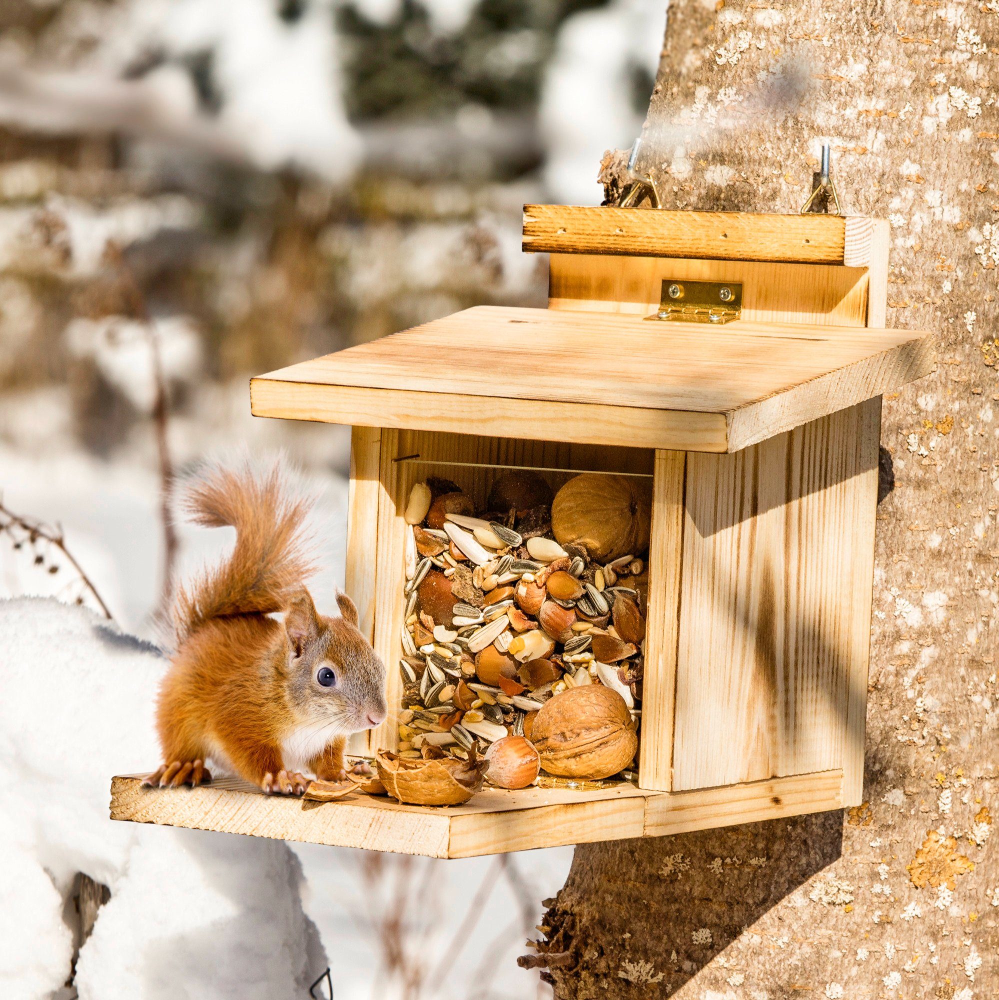 Windhager Futterhaus für Eichhörnchen mit klappbarem Boden, Überwinterungshilfe, Futterstation aus natürlichem Holz, Nussstation für Wildtiere