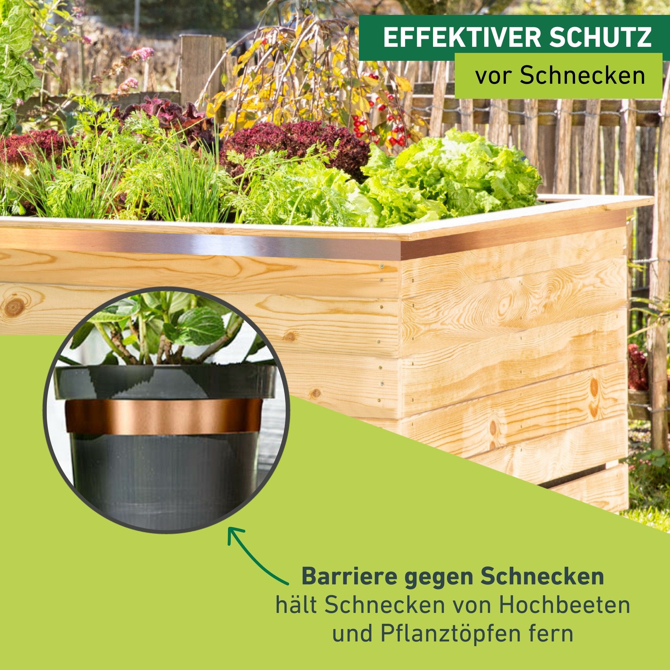 Windhager Schneckenkante aus Kupfer, Schnecken Abwehrband für Hochbeete und Pflanztöpfe, 500x3x0,01 cm, 1-St., Schneckenschutz Tape, erhältlich in 5 cm x 3 m – Bild 4 von 5