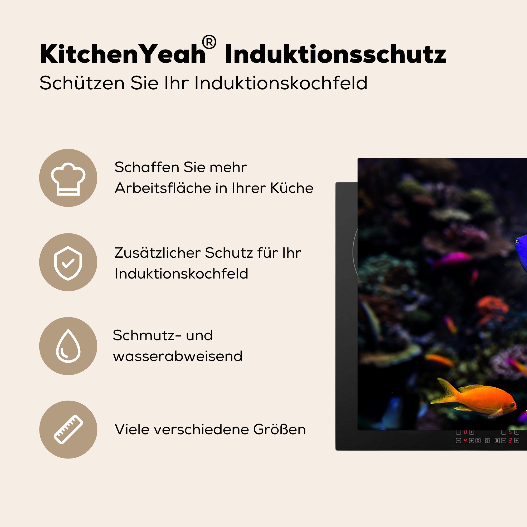 (1 Schutz cm, die 81x52 in Induktionskochfeld Ceranfeldabdeckung Ein küche, MuchoWow für tlg), Aquarium, einem Picasso-Doktorfisch Herdblende-/Abdeckplatte Vinyl,