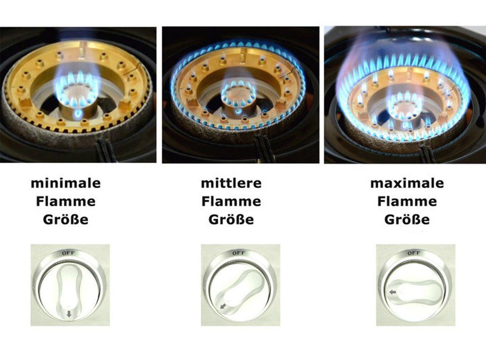 Edelstahl Gasgrill flammig The KW Campingkocher choice Gaskocher Grill NJ GC-87, Camping-Gas 3 right 9,7 mit