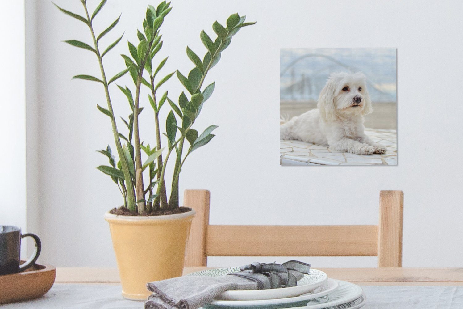OneMillionCanvasses® Leinwandbild Ruhiger Bilder für Leinwand (1 Schlafzimmer Malteser entspannt Wohnzimmer sich, St)