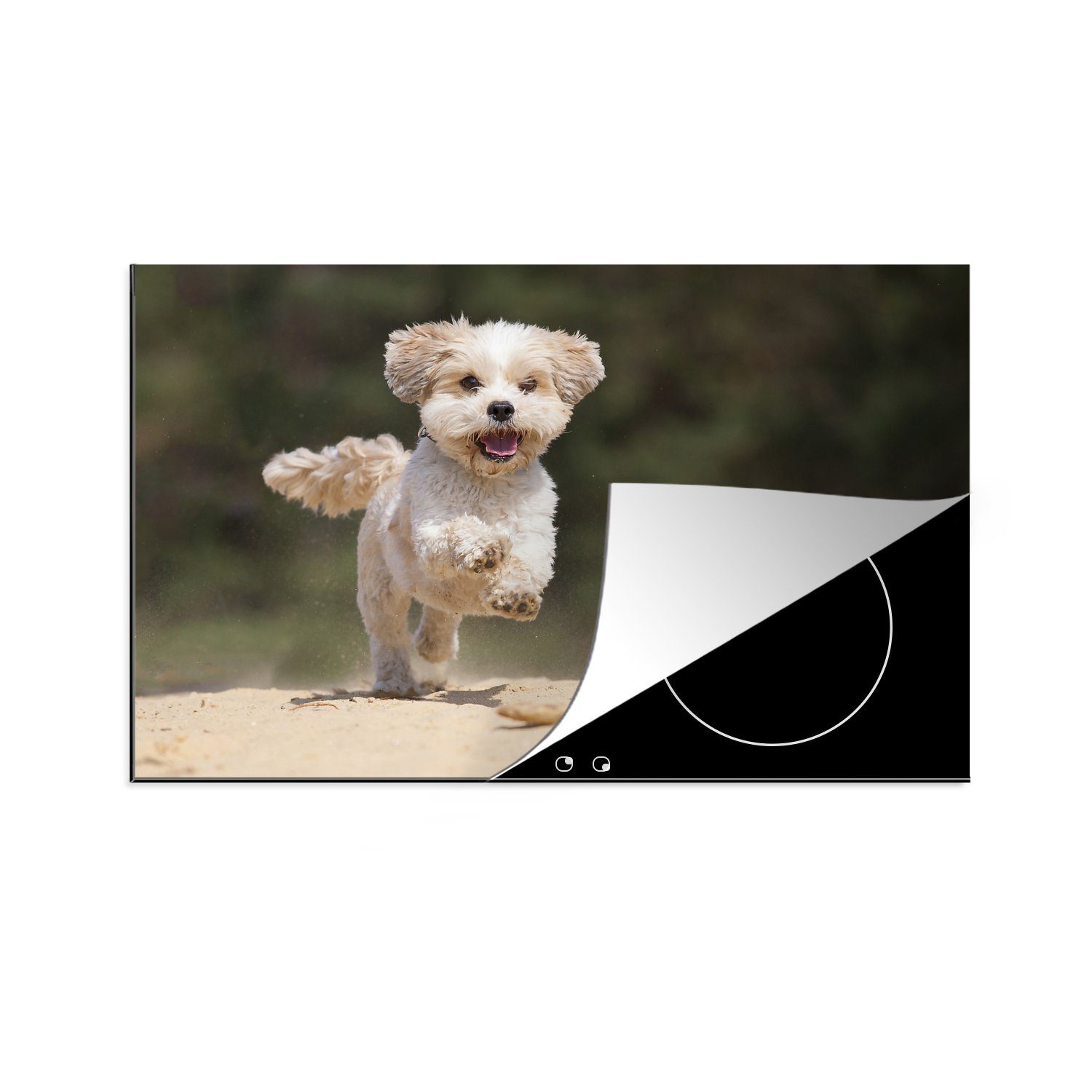 Ceranfeldabdeckung cm, durch küche, den Hund die Tzu tlg), (1 81x52 Ein Schutz Shih Vinyl, hüpft MuchoWow gelben Herdblende-/Abdeckplatte für Induktionskochfeld Sand,
