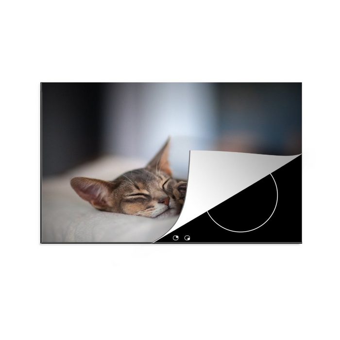 MuchoWow Herdblende-/Abdeckplatte Katzen - Schlafend - Abessinier - Haustiere Vinyl (1 tlg) Ceranfeldabdeckung für die küche Induktionsmatte