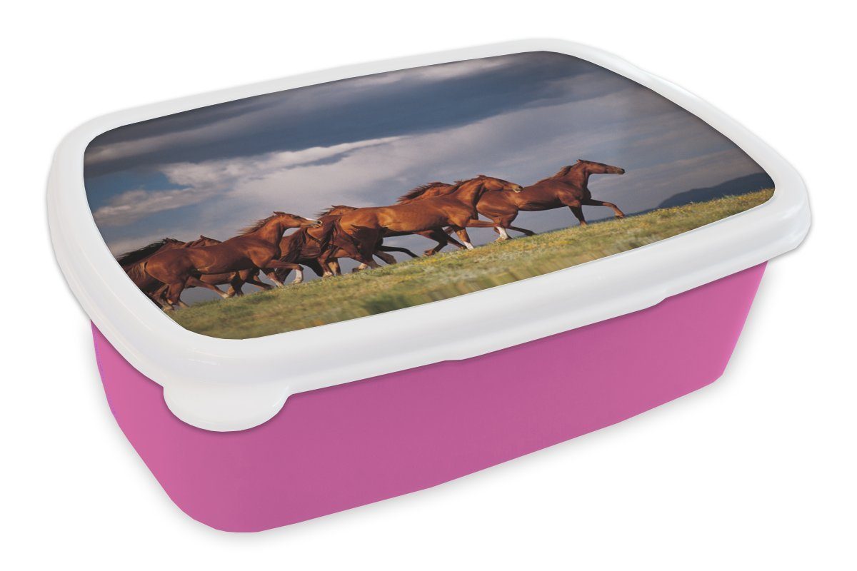 MuchoWow Lunchbox Herde von wilden Mustang-Pferden, Kunststoff, (2-tlg), Brotbox für Erwachsene, Brotdose Kinder, Snackbox, Mädchen, Kunststoff rosa