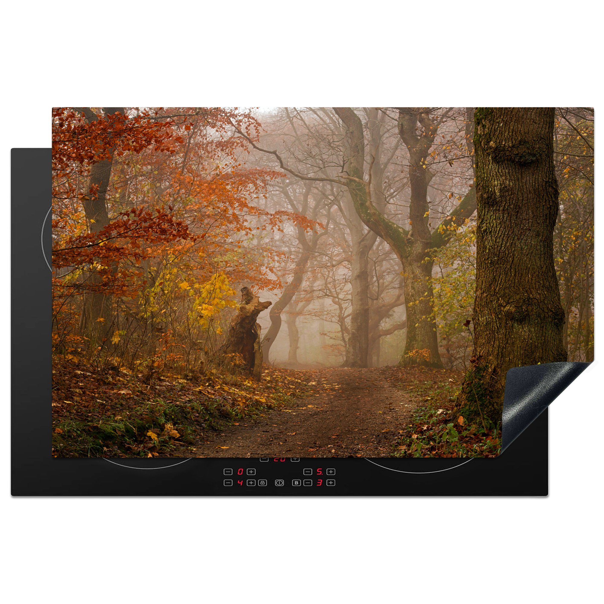 Herbst küche, für MuchoWow die Ceranfeldabdeckung tlg), Vinyl, - - Wald 81x52 - (1 Induktionskochfeld Schutz cm, Laub - Waldweg Herdblende-/Abdeckplatte Bäume,