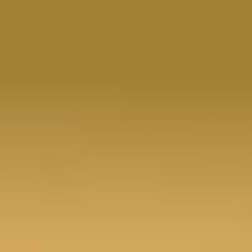 Replay Ledergürtel günstig online kaufen