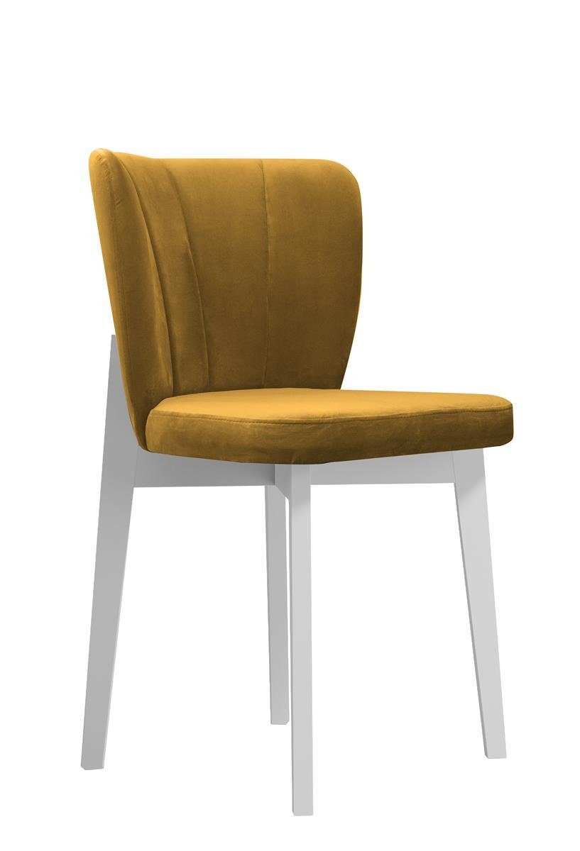Beautysofa Polsterstuhl Madison (aus Velours, Relaxstuhl mit Holzbeine in weiß / schwarz / buche), im modernes Stil, Stuhl mit gepolsterte Rückenlehne Gelb (riviera 41) | Weiß
