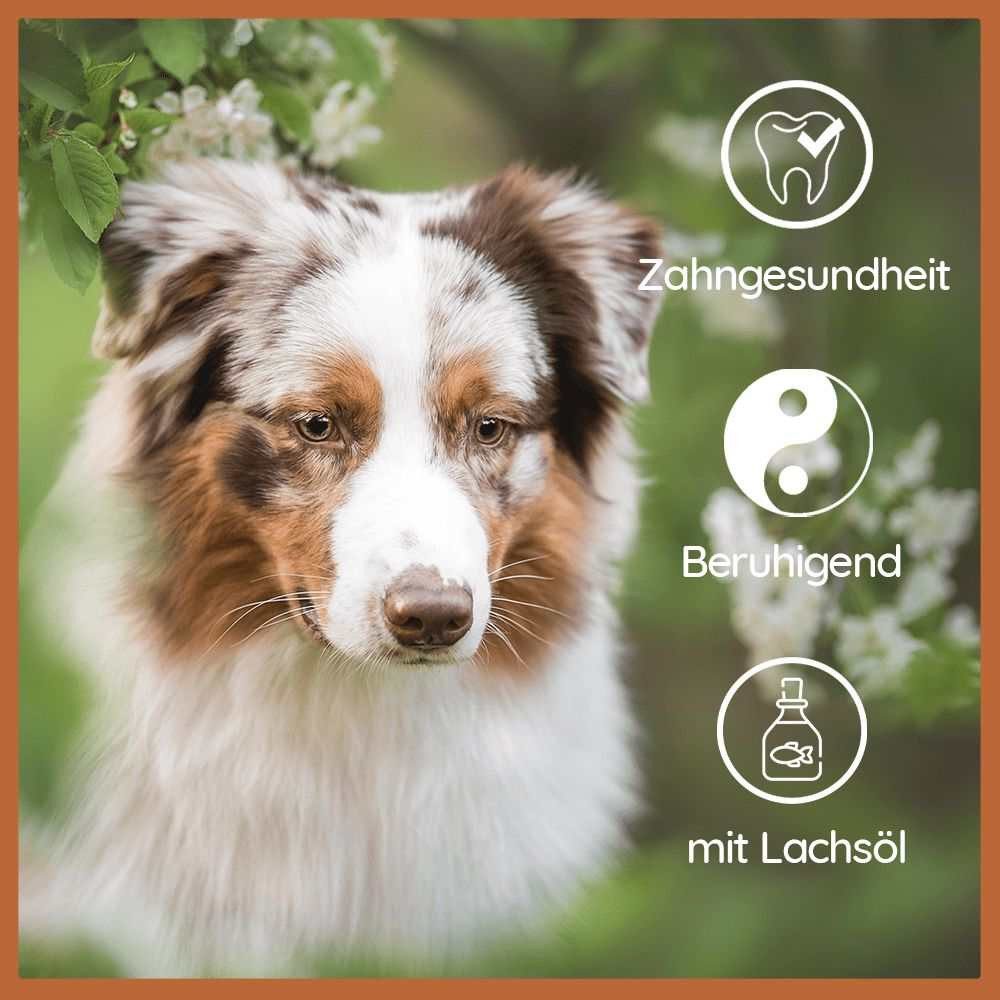 Wildfang Kauspielzeug Kaffeeholz Kaustab mit Lachsöl