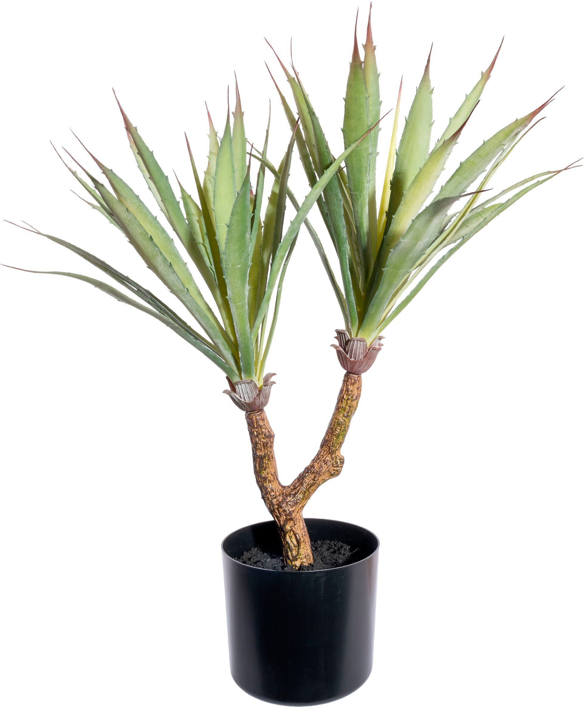 Künstliche Zimmerpflanze Agave