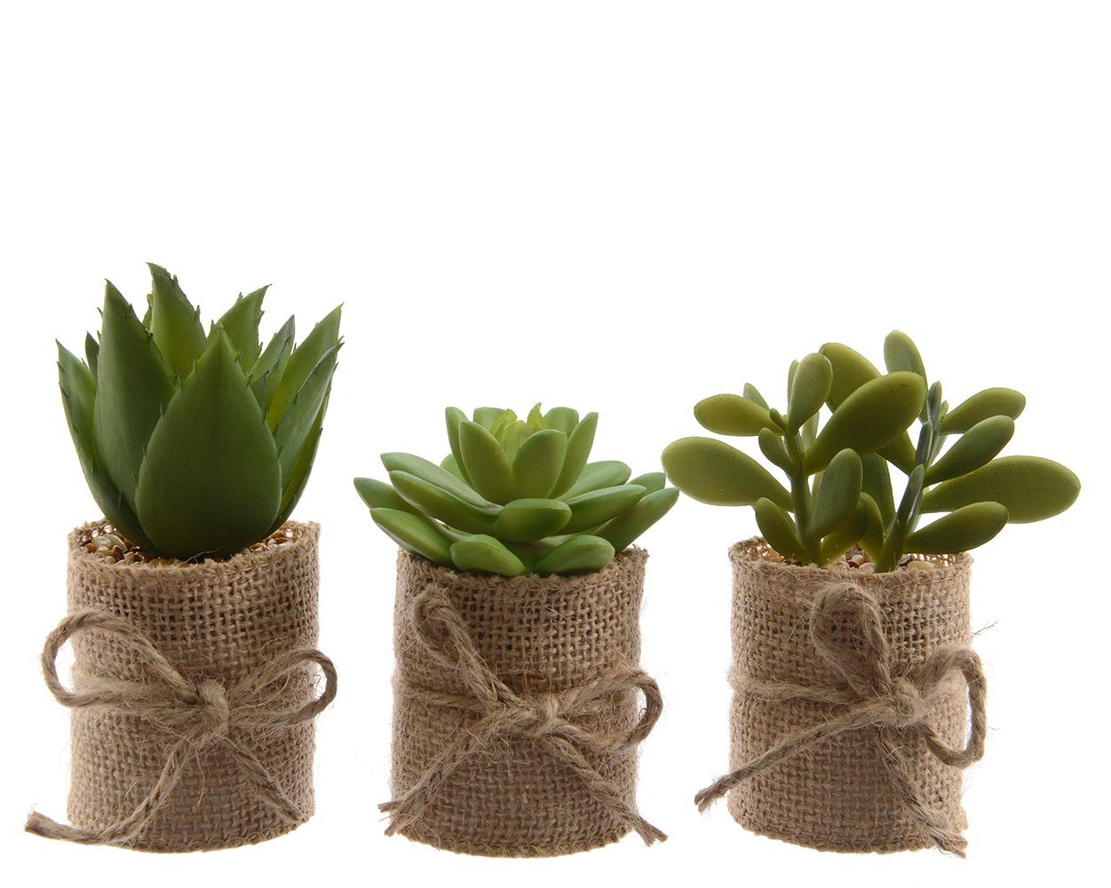 Kunstpflanze, Kaemingk, Sukkulenten künstlich im Topf 12cm, 3er Set günstig online kaufen