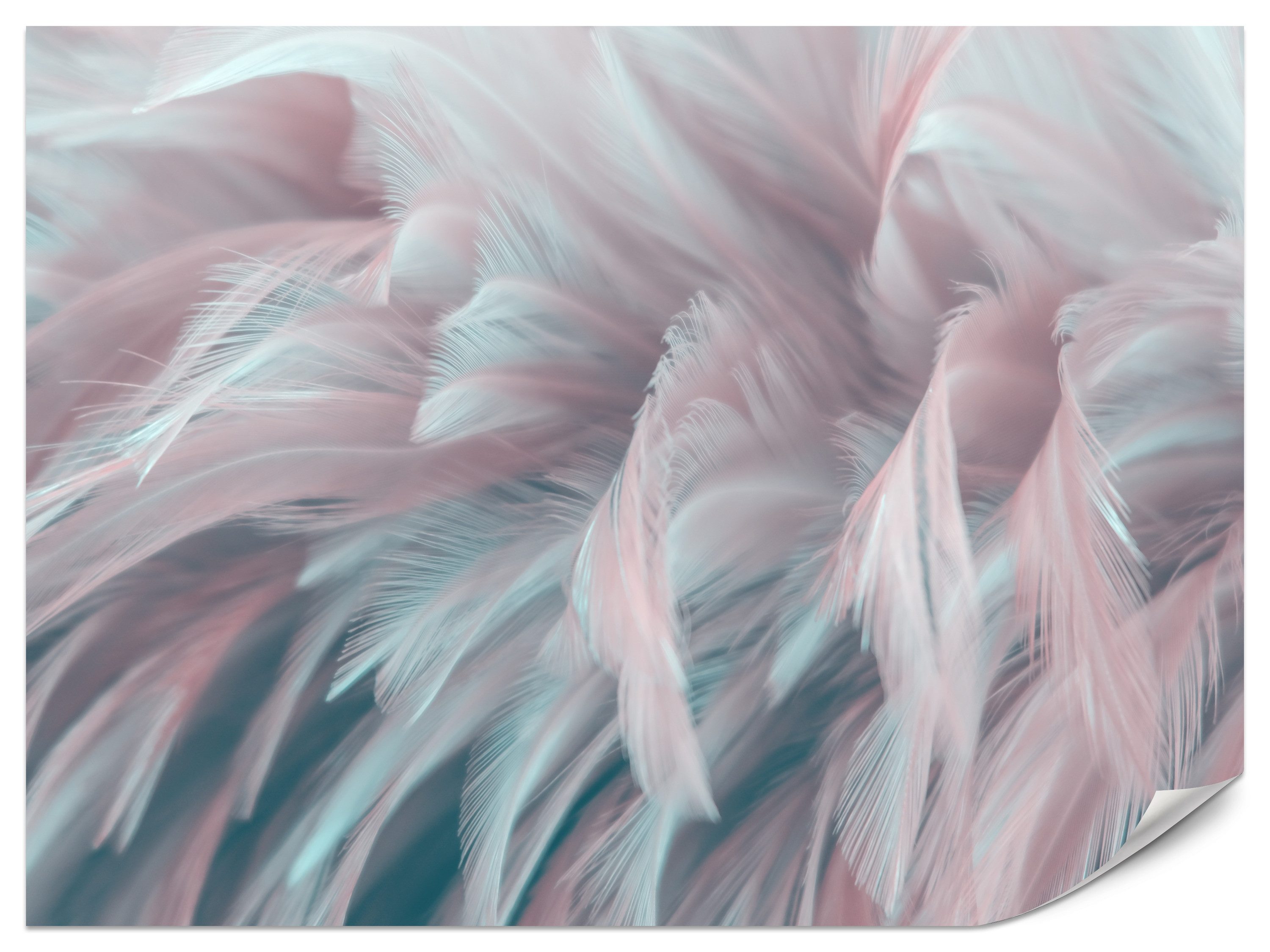 Muralo Fototapete Vliestapete - Zarte Federn in Rosa und Hellblau in Pastelltönen, Glatt, Grafisch, (Packung, 1 St., 100x70 cm), Kleber im Set, 3D-Optik, Ins Schlafzimmer
