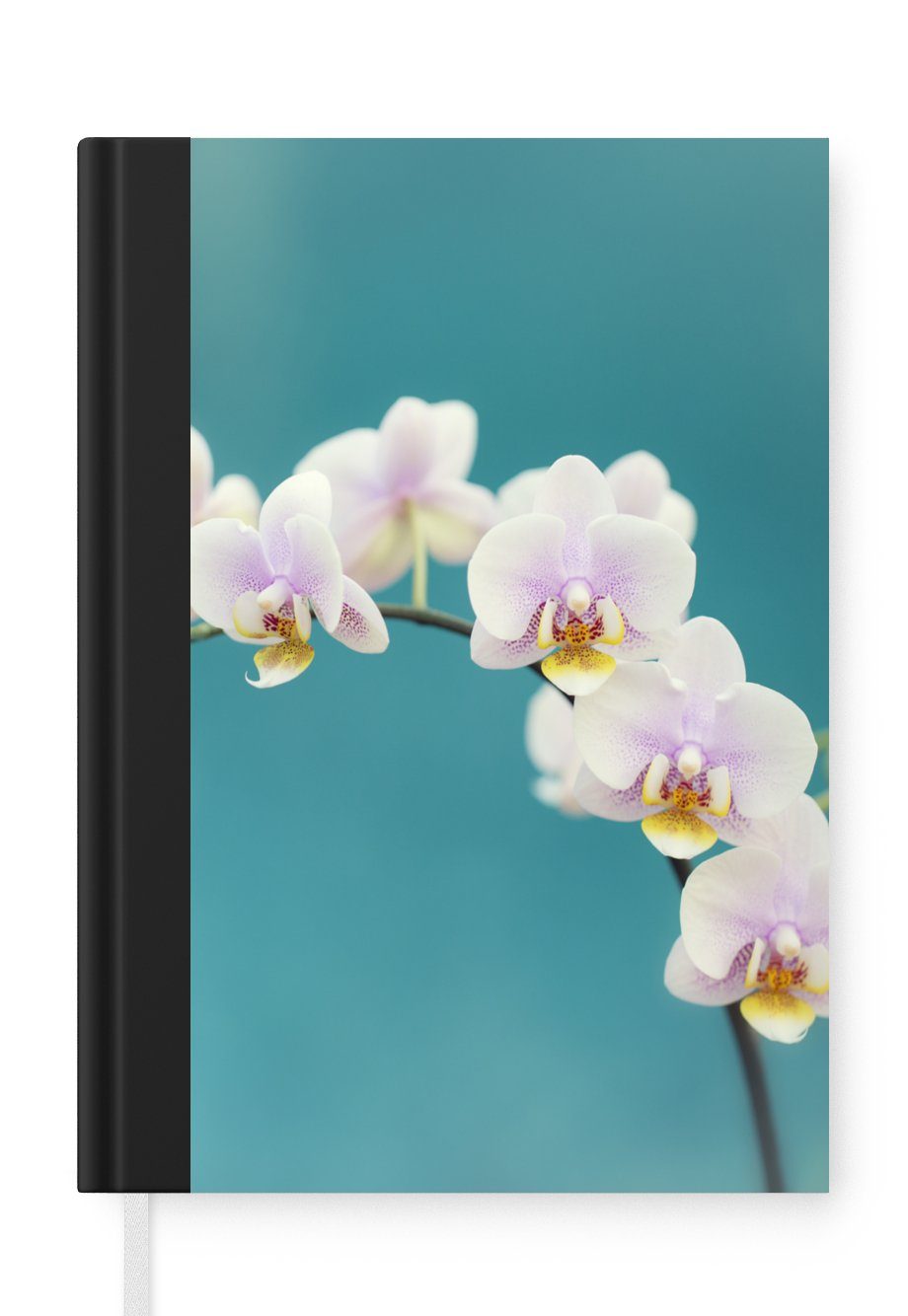 Blumen Orchidee A5, Merkzettel, - 98 Pflanze Weiß - Journal, Haushaltsbuch - Notizbuch Seiten, Lila, Notizheft, Tagebuch, - MuchoWow