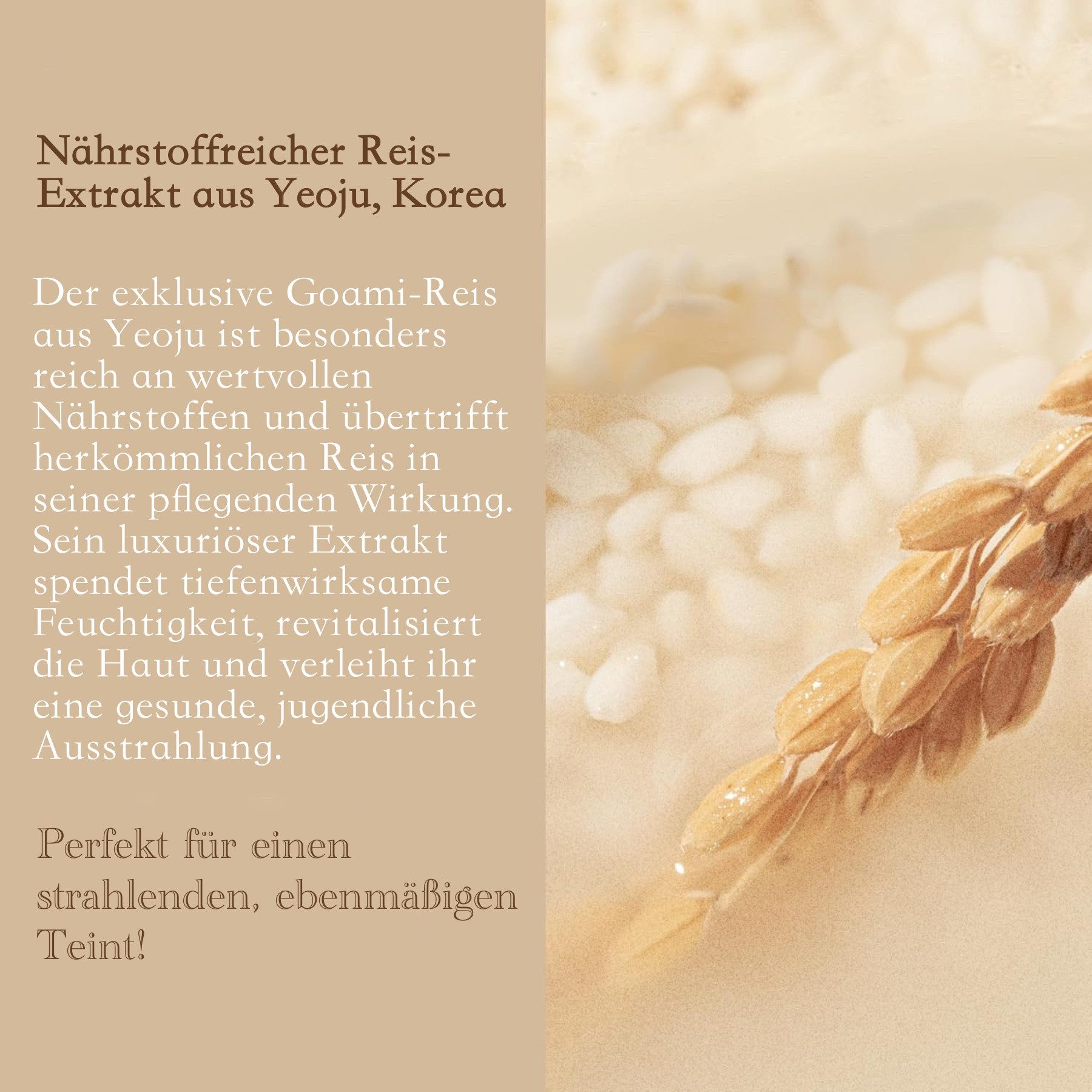 I'm from Gesichtspflege Rice Toner Gesichtswasser Feuchtigkeit Anti-Aging Vegan, 1-tlg., Akne, Mitesser, Stresslinderung, Trockenheit