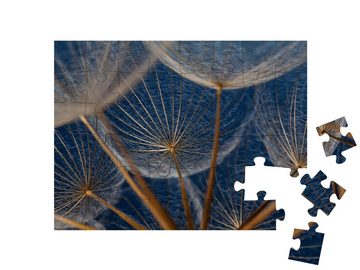 puzzleYOU Puzzle Makroaufnahme: Elemente einer Pusteblume, 48 Puzzleteile, puzzleYOU-Kollektionen Flora, Pflanzen, Blumen & Pflanzen