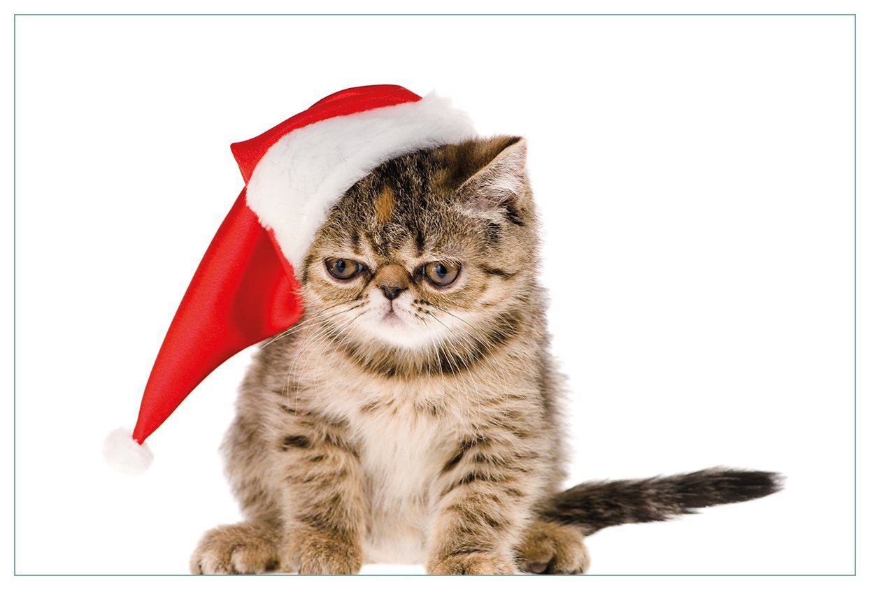 Wallario Küchenrückwand Ich hasse Weihnachten - mürrische Katze mit Weihnachtsmütze, (1-tlg)