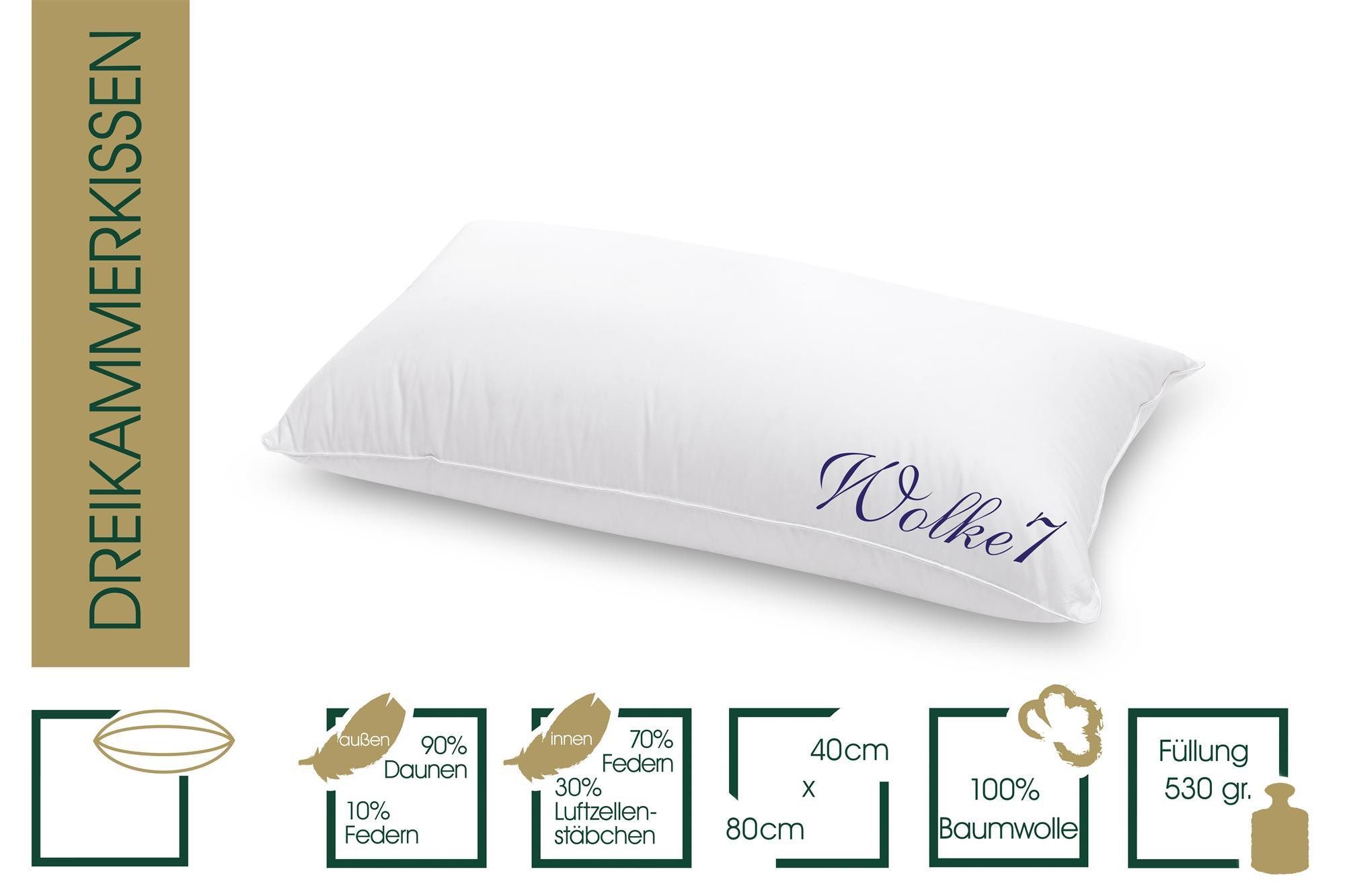 HANSKRUCHEN Daunenkissen Wolke 7, Füllung: 85% Federn, 15% Daunen, Bezug: 1 günstig online kaufen