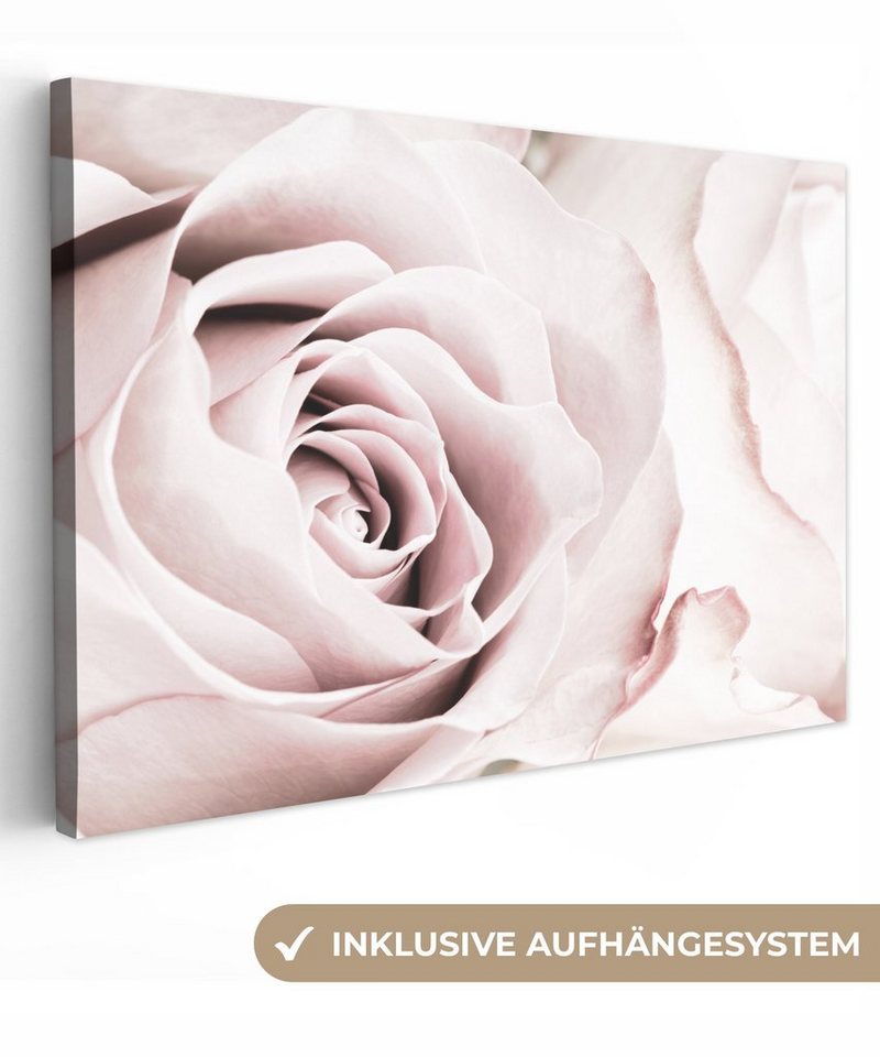 OneMillionCanvasses® Leinwandbild Blumen - Rose - Rosa - Botanisch, (1 St),  Wandbild Leinwandbilder, Aufhängefertig, Wanddeko, 30x20 cm